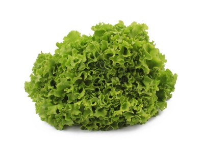 Салат айсберг 300 г - купить в Ударном